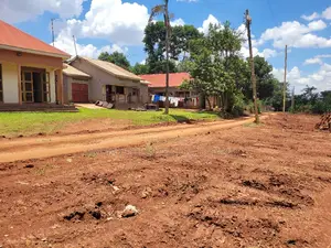 Kampilingisa Town Estate