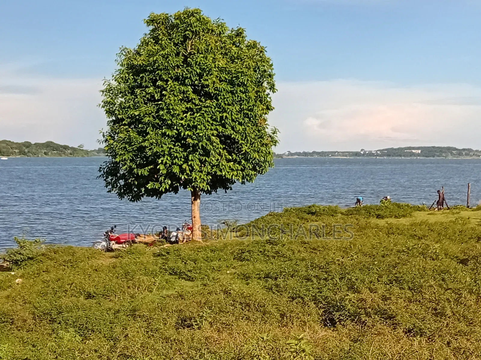 1-20 Acres Entebbe Lake Side Land on Sale
