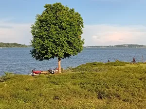1-20 Acres Entebbe Lake Side Land on Sale