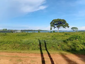 1-20 Acres Entebbe Lake Side Land on Sale