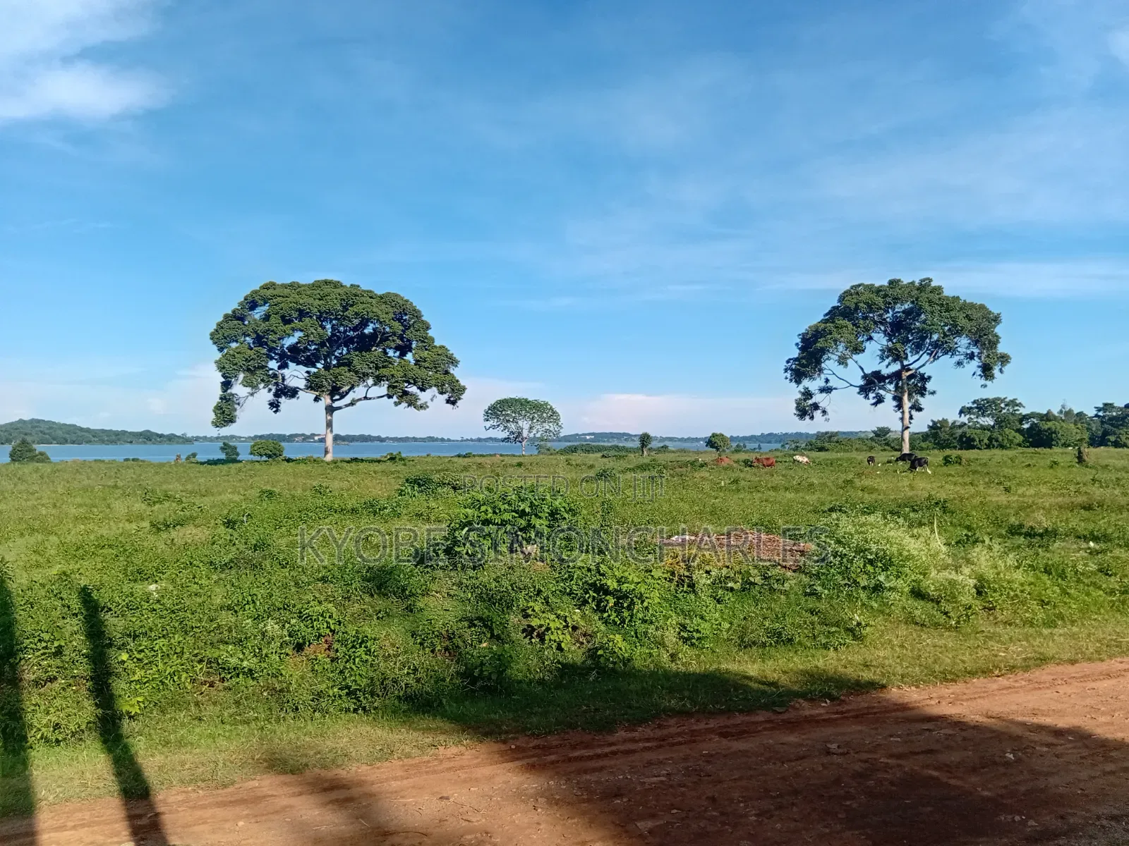 1-20 Acres Entebbe Lake Side Land on Sale