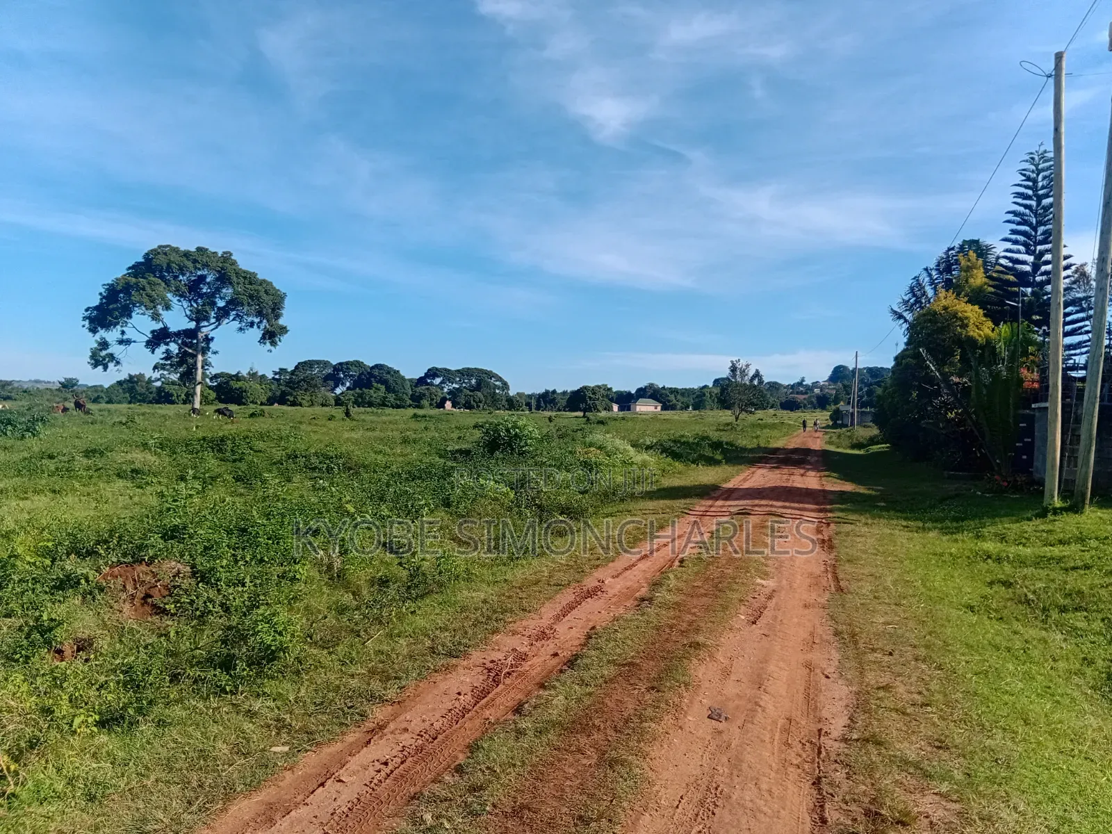 1-20 Acres Entebbe Lake Side Land on Sale