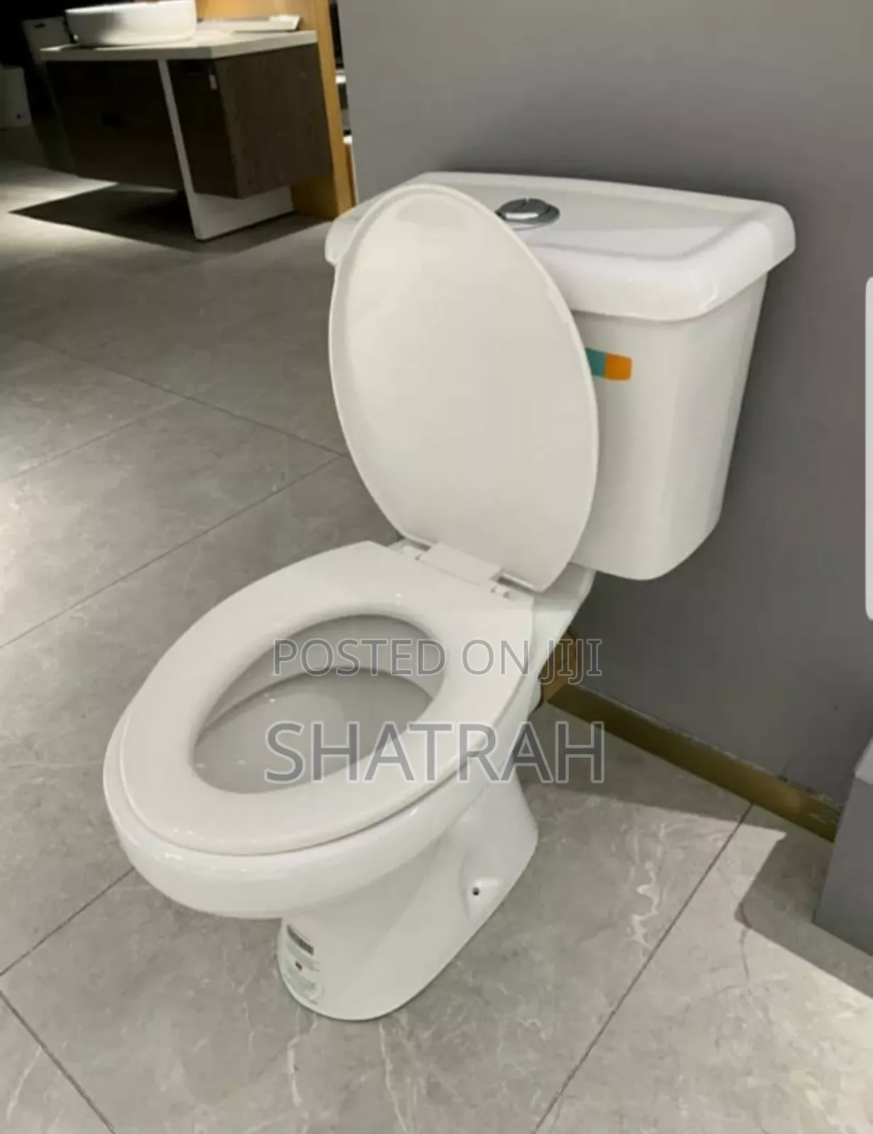 Toilet Seat