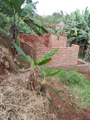Construction and Underground Water Service