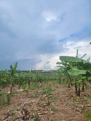 Plots Available on Sale Gayaza Kalungu