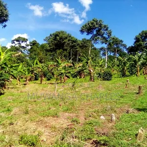 Plots Available on Sale Gayaza Kalungu