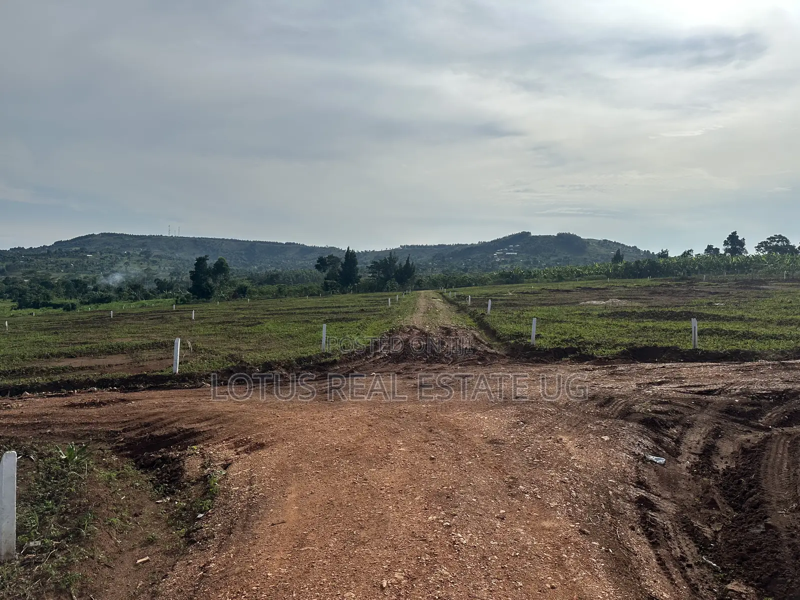 Land for Sale Masaka Road Kampiringisa