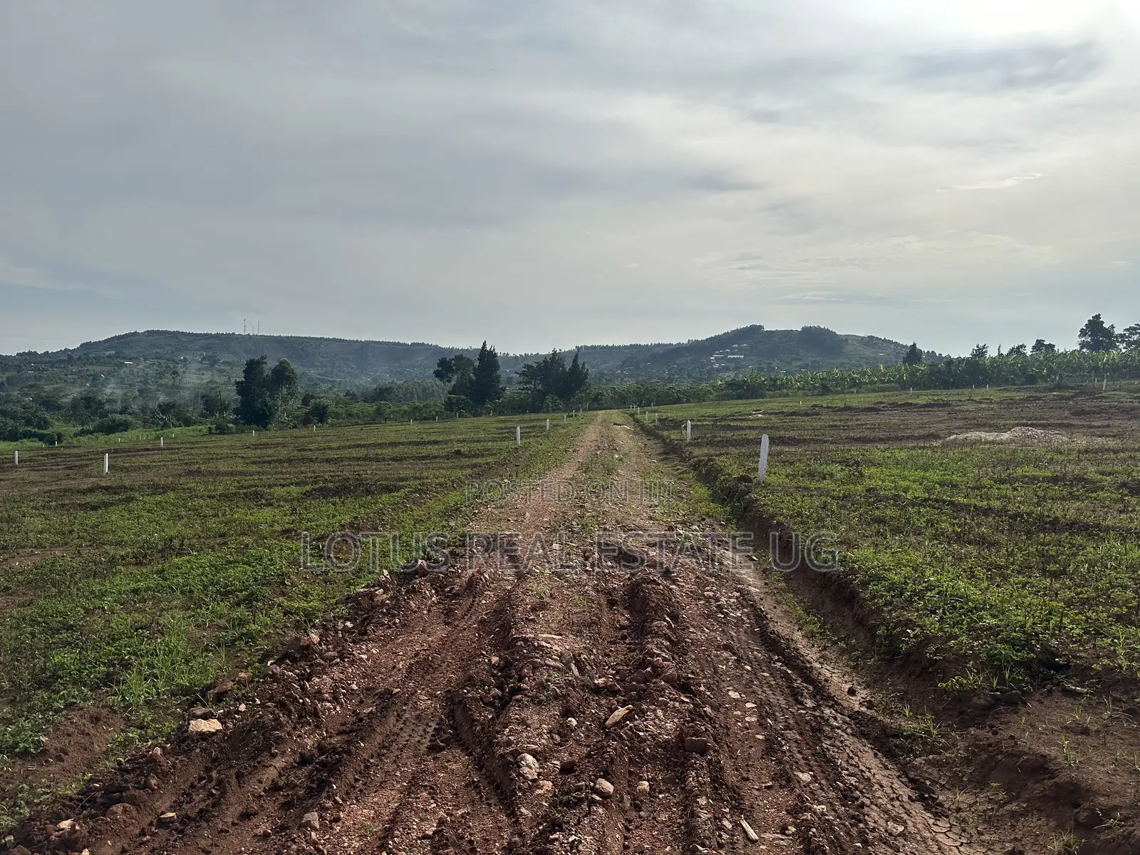 Land for Sale Masaka Road Kampiringisa