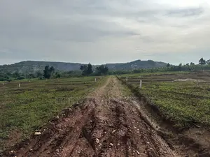 Land for Sale Masaka Road Kampiringisa