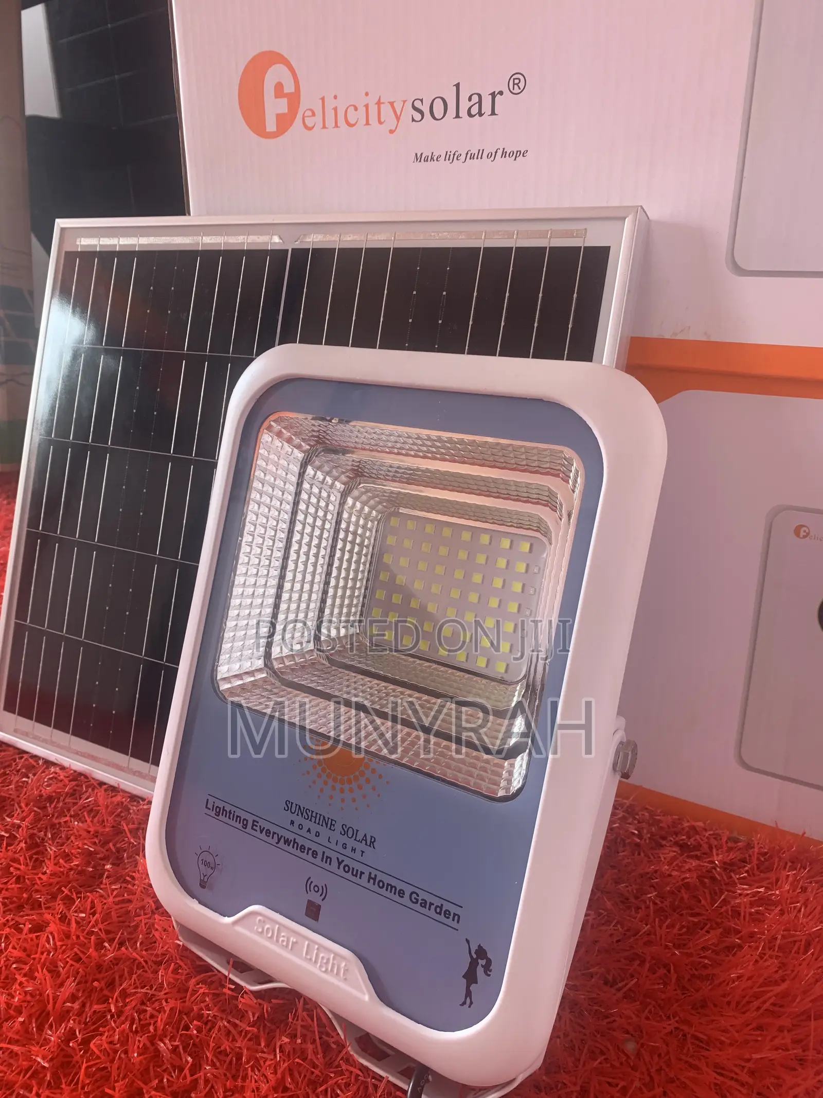 Solar Flood Light