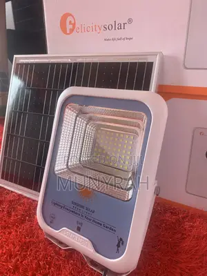 Solar Flood Light
