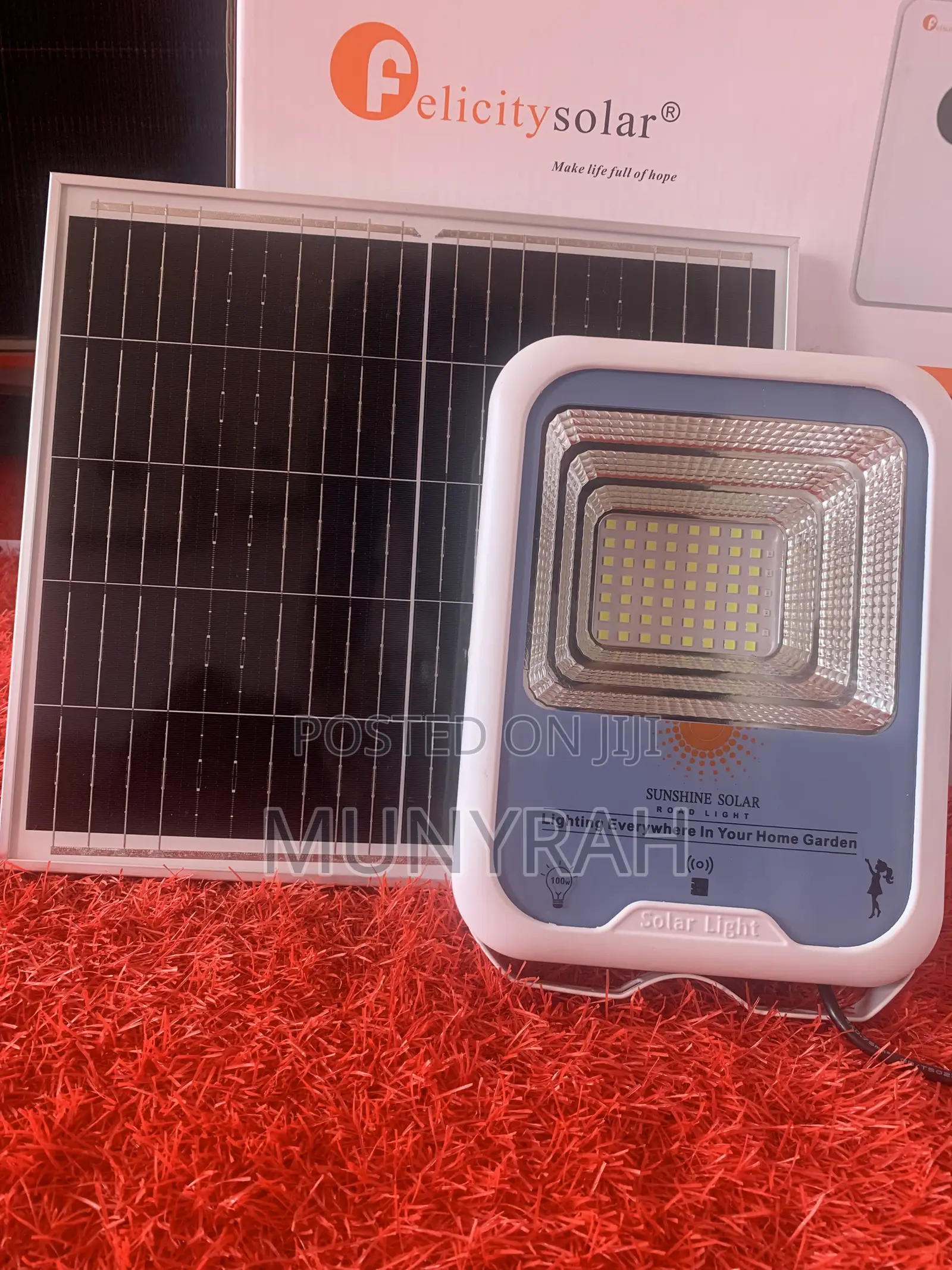 Solar Flood Light