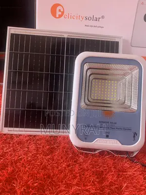 Solar Flood Light