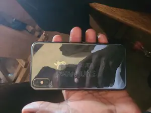 Apple iPhone X 64 GB Gray