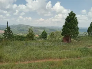 Quick Sale: Titled Land in Lukalu, Mpigi–mining &Residential Potential