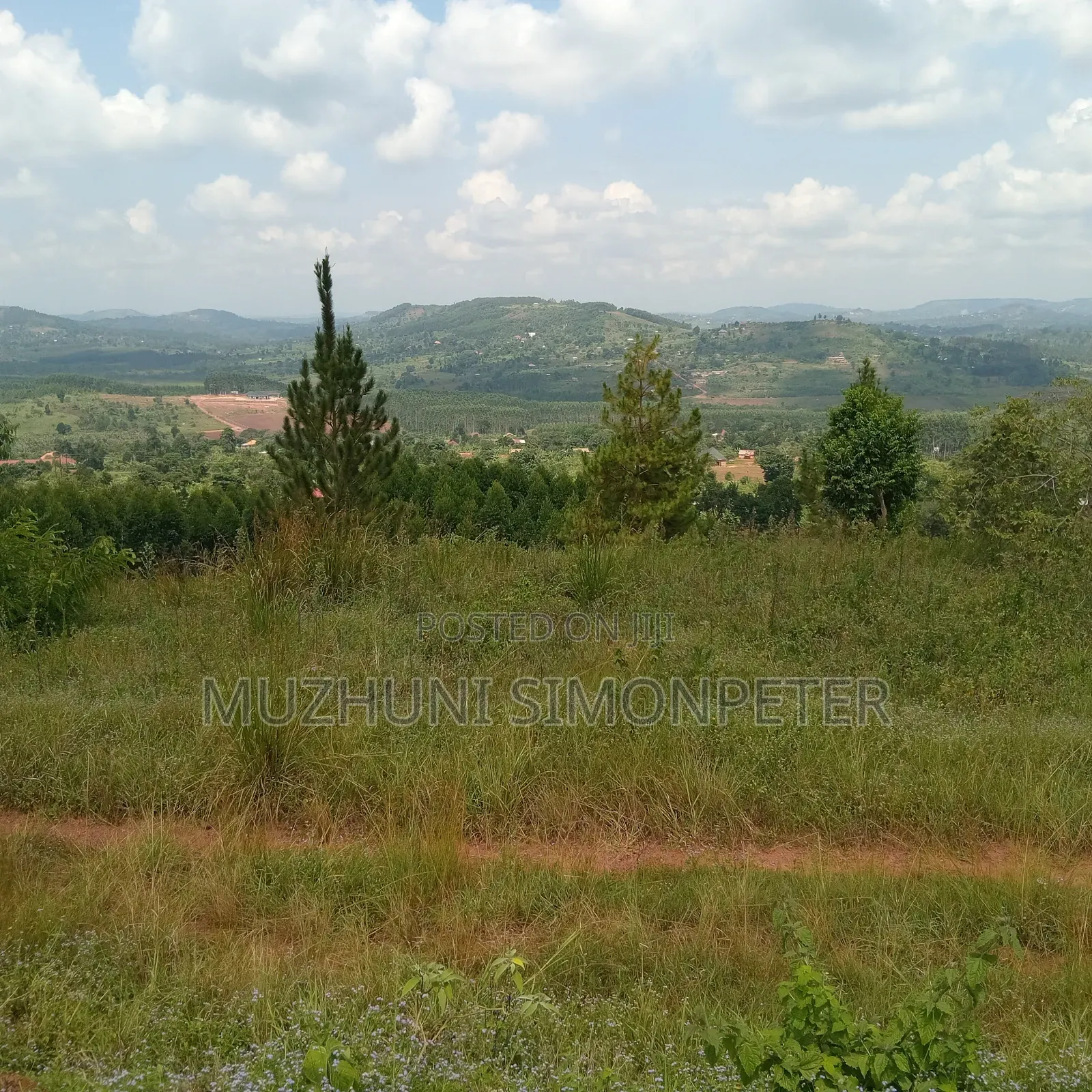 Quick Sale: Titled Land in Lukalu, Mpigi–mining &Residential Potential