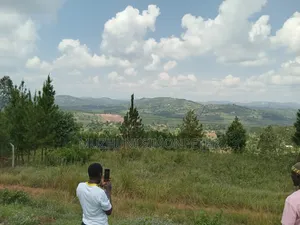 Quick Sale: Titled Land in Lukalu, Mpigi–mining &Residential Potential