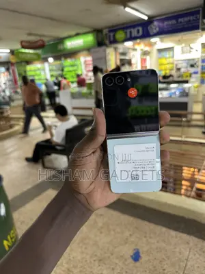 Samsung Galaxy Z Flip 5 256 GB Silver
