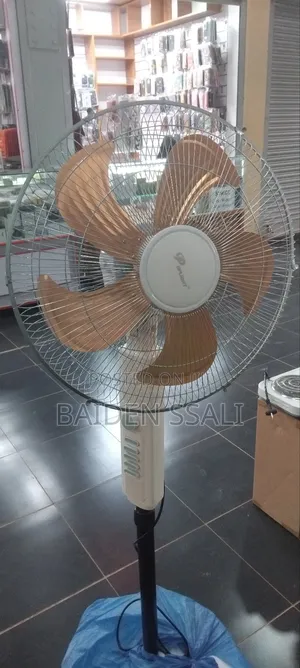 Dp Light Fan