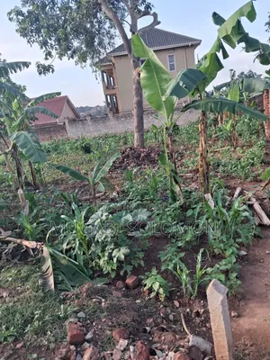 Land for Sell in Gayaza Nakwero Town