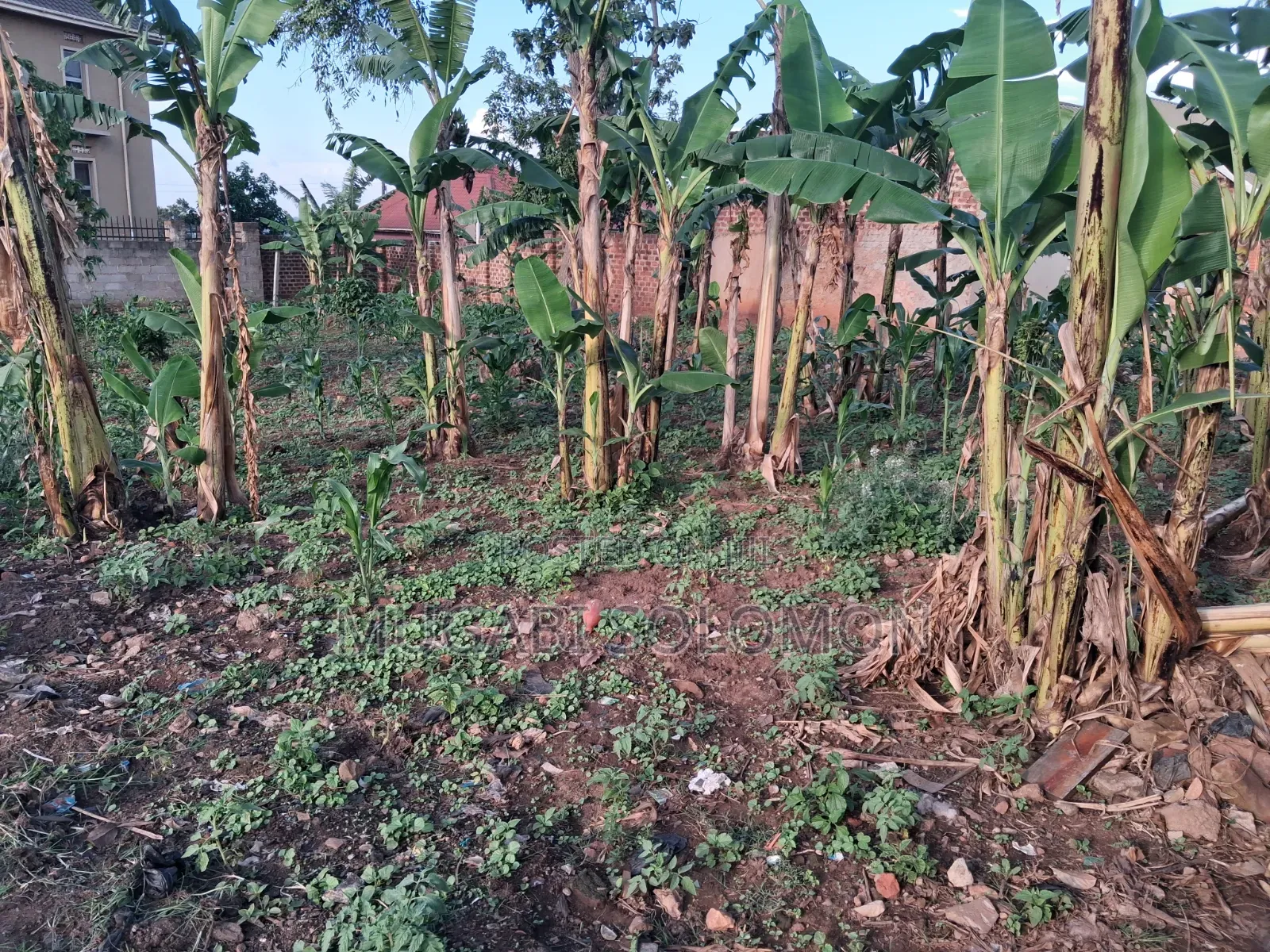 Land for Sell in Gayaza Nakwero Town