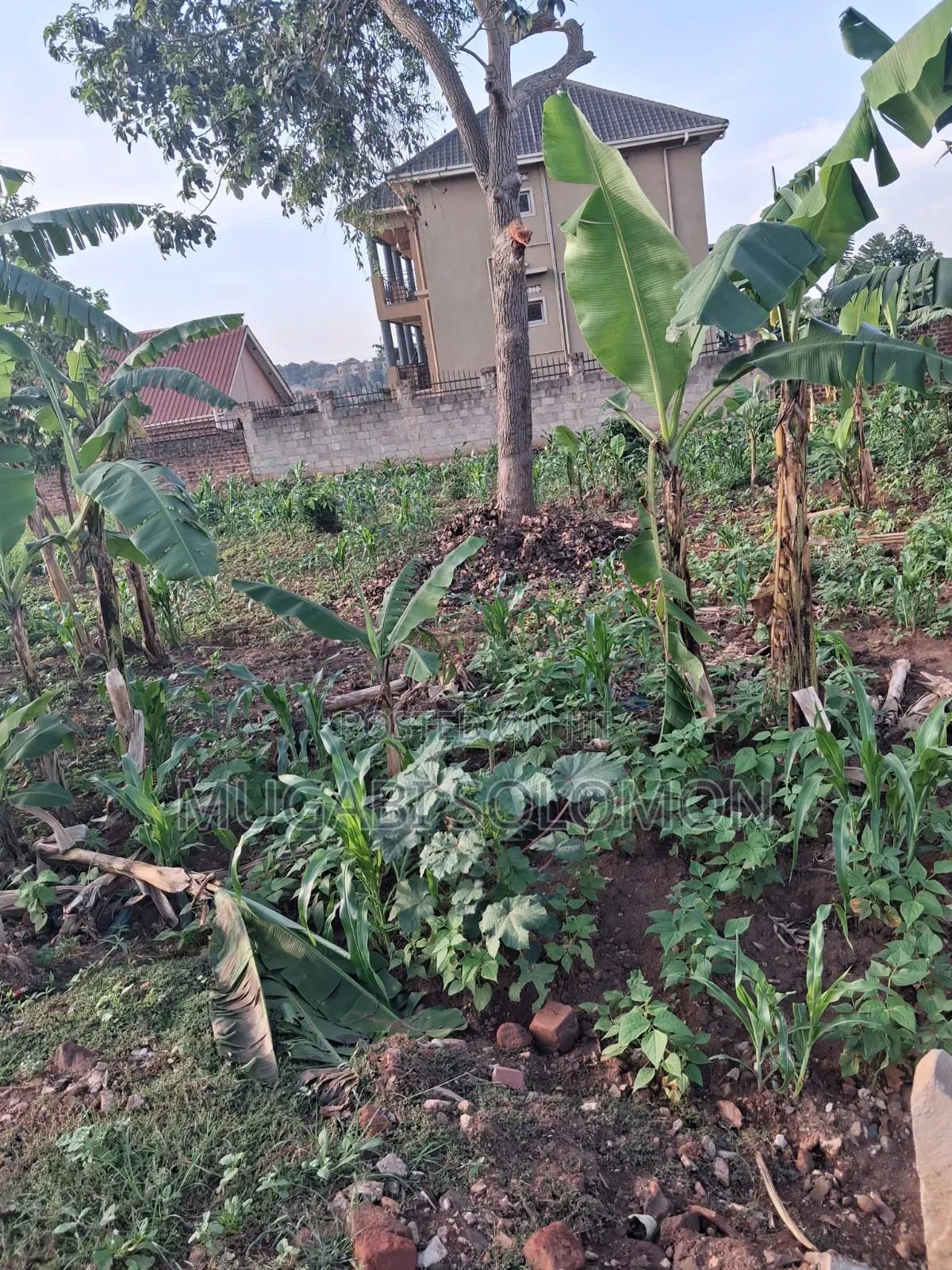 Land for Sell in Gayaza Nakwero Town