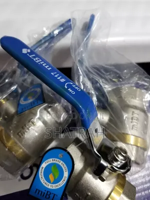 Global Valves 1"