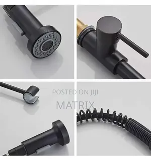 Water Mixer Tap With Pull Down Spray Tap With Spring Neck