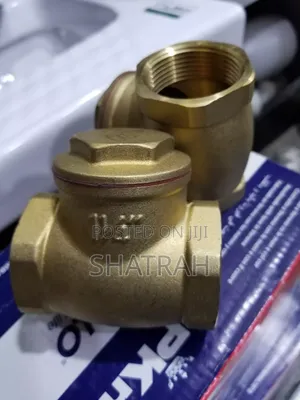 Non Return Valves