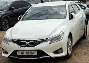 Toyota Mark X 2.5 RWD 2011 White