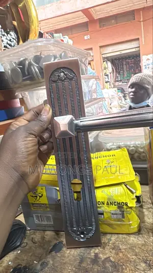 Doorsand Security
