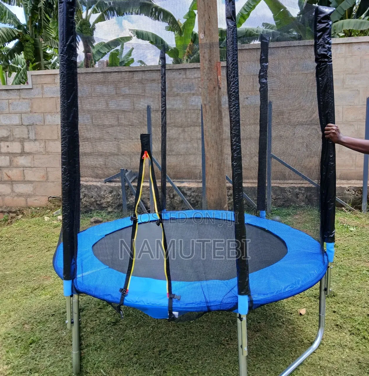6 Feet Trampoline