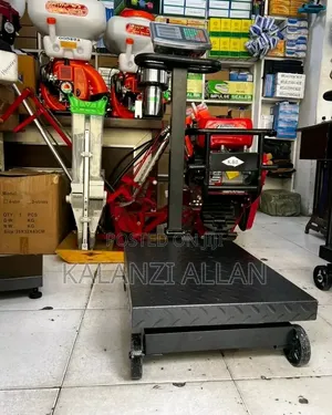 Platform Free Standing Weighing Scale