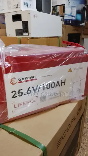 2.5kwh Go Power Lithium Ion Batteries