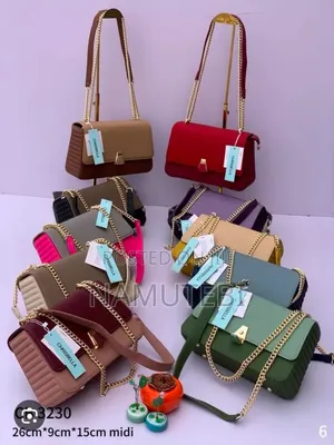Chrisbella Bicolour Shoulder Bags Gold Chain Straps