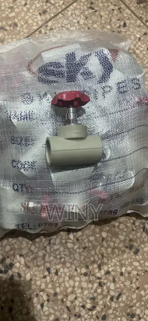 PPR Gate Valve