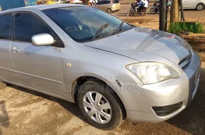 Toyota Allex 2007 Silver
