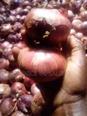 Onion Red,big Ab Round