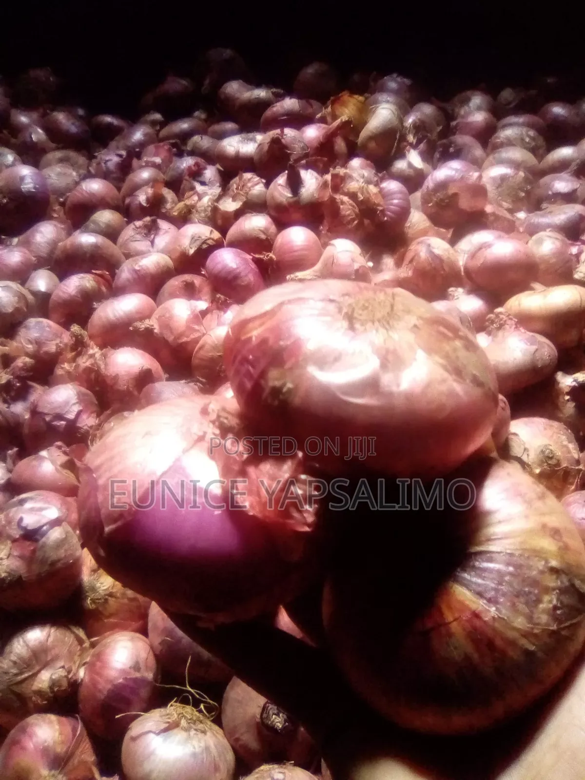 Onion Red,big Ab Round