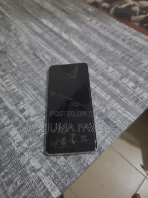 Samsung Galaxy S21 Ultra Original Screen