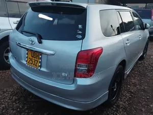 Toyota Corolla Fielder 2009 Silver