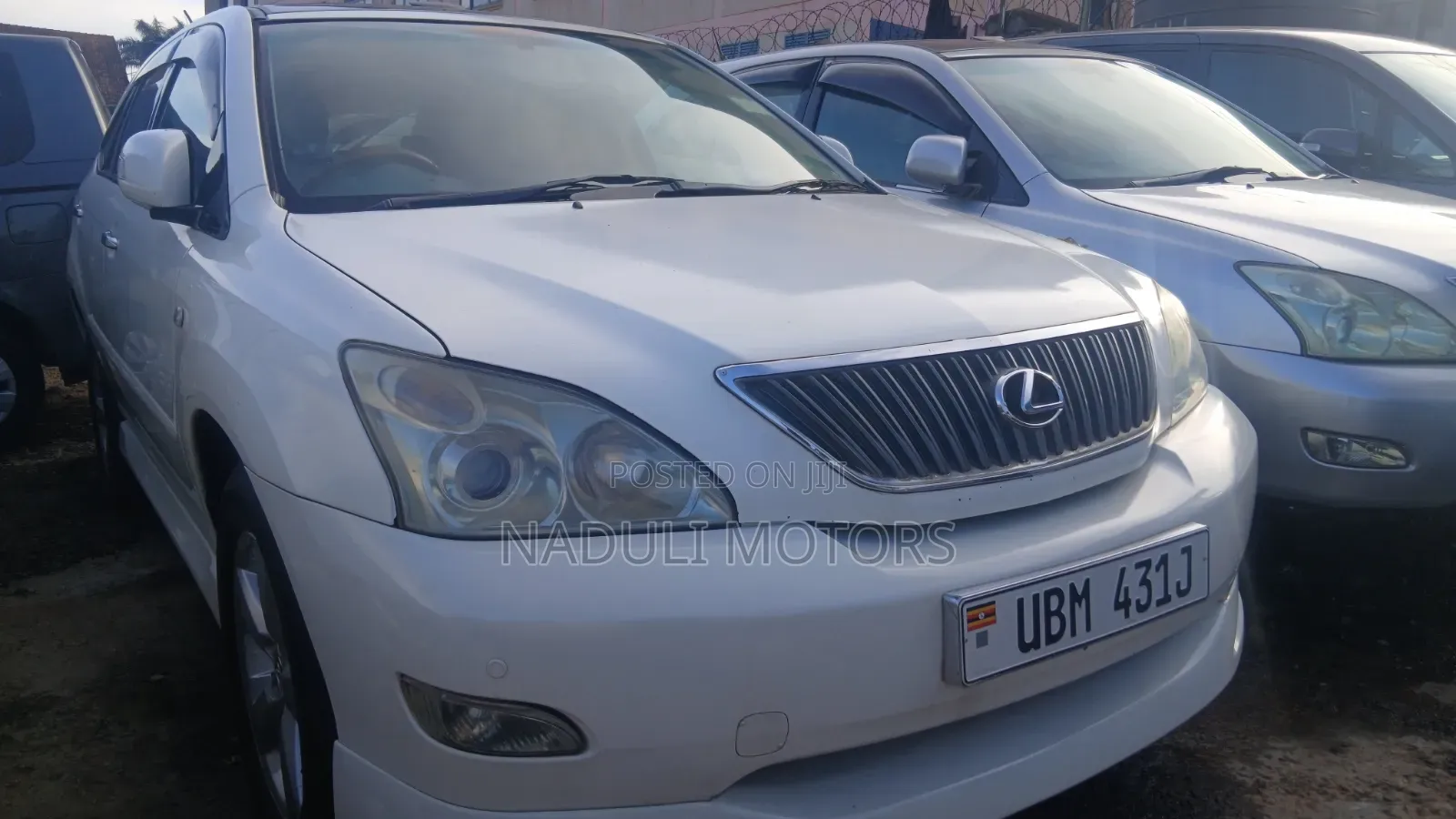 Lexus RX 2008 White