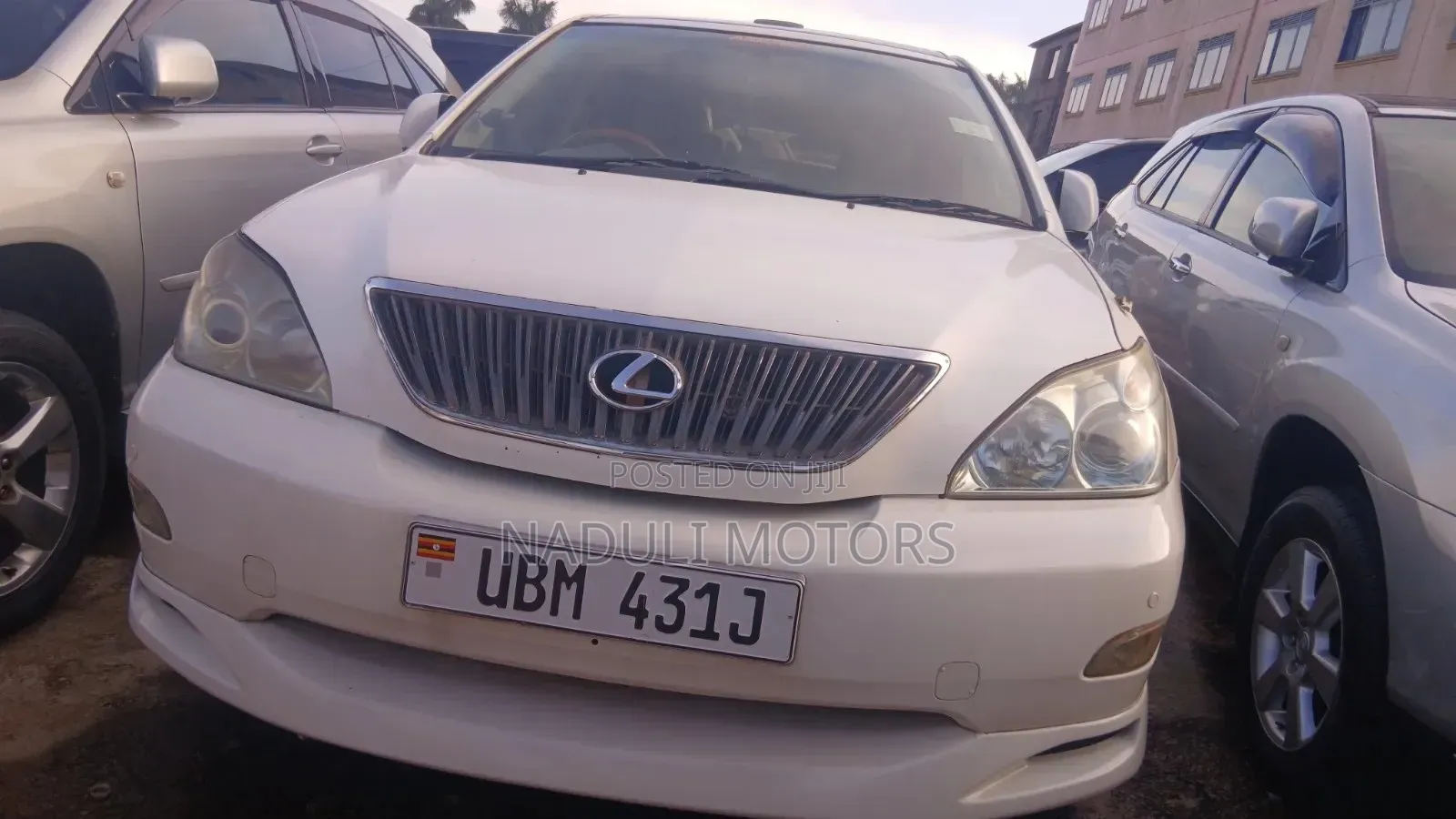 Lexus RX 2008 White