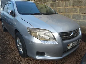 Toyota Axio 2007 Silver