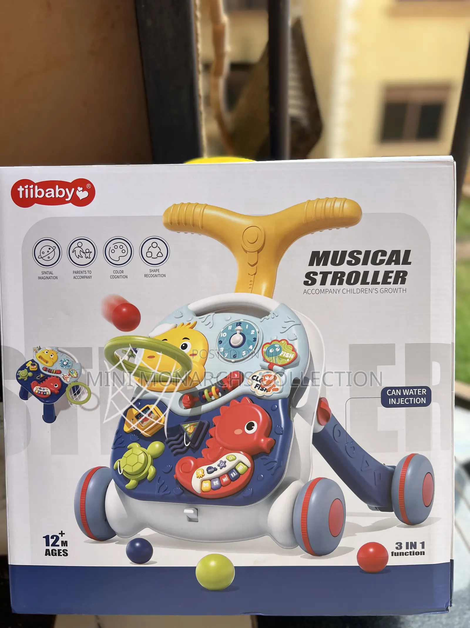 Baby Push Walker