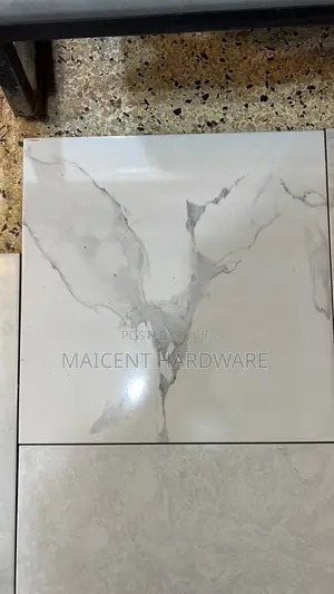 Polished Floor Tiles