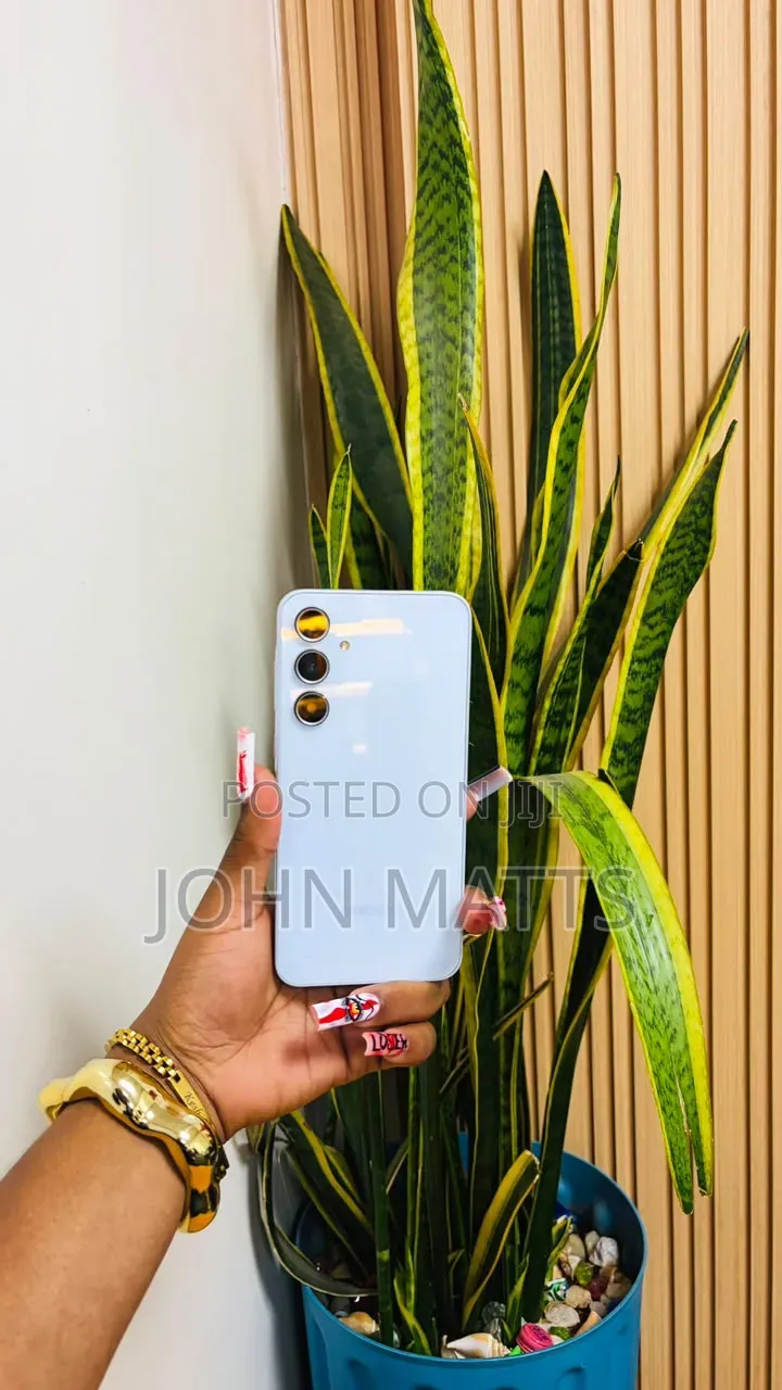Samsung Galaxy A55 256 GB Blue