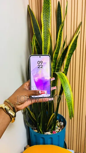 Samsung Galaxy A55 256 GB Blue