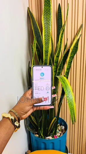 Samsung Galaxy A55 256 GB Blue