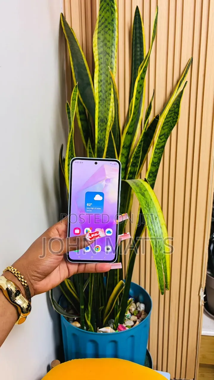 Samsung Galaxy A55 256 GB Blue